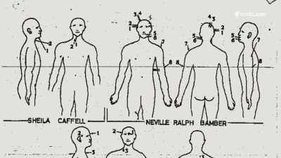 And each one of them hit the target - The Bambers: Murder at the Farm