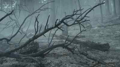 And only a few hours
after the fire has passed, - Prehistoric Planet