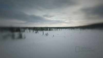 And only you learn that
by coming out here and - Life Below Zero: First Alaskans