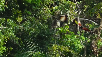 '..and opportunities - A Year on Planet Earth