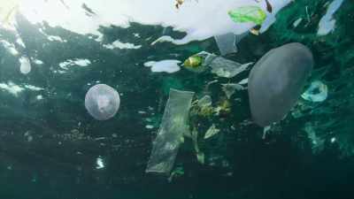 And pollution is escalating, - Our Great National Parks