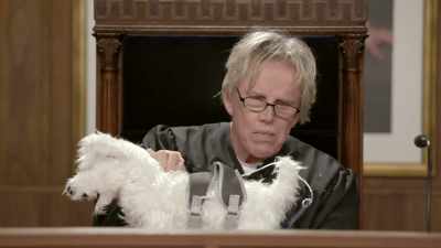 And this poop catcher
will catch his poop. - Gary Busey: Pet Judge