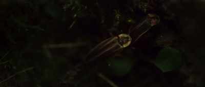 And she proceeds to do so
in an extremely violent way. - Alien Worlds