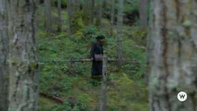 And prolific streams - Rip in Time