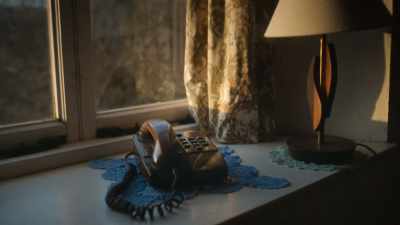 And she rang again on the 24th, - Sophie: A Murder in West Cork
