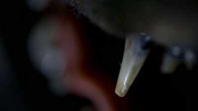 and-read-it-i-was-totally-amazed - Strange Evidence