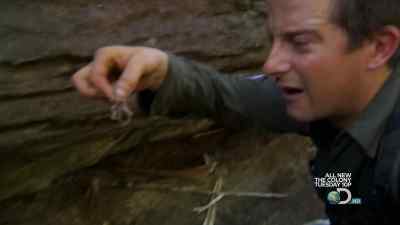 And that really is fine to eat. - Man vs. Wild
