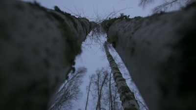 And really, the only way
that you can keep them energy - Life Below Zero: Next Generation