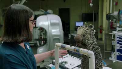 And right now, we're just been able
to see her urinary bladder. - One Day at Disney