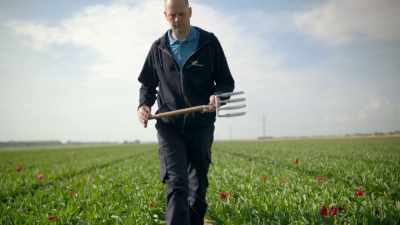 And Rob and Liesbeth are bulb farmers. - Europe From Above
