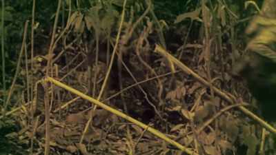 AND RUNS THEM HEADLONG
UP THE VALLEY. - The Pacific War in Color