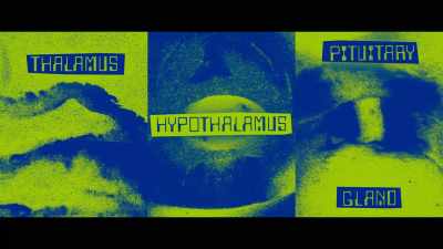 And he said to me, - My Psychedelic Love Story