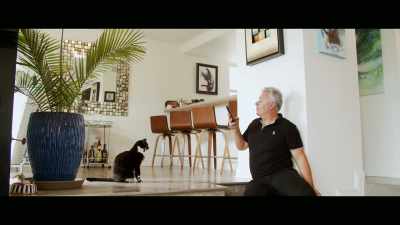 And she said, "Oh, I love cats." - Cat Daddies
