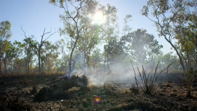 And this scene of desolation - A Year on Planet Earth