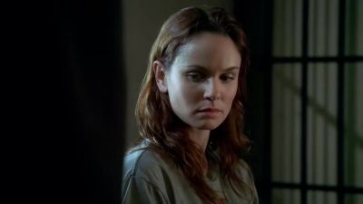 And you scheme for months... - Prison Break