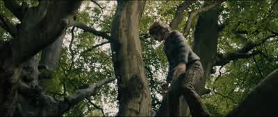 And you scramble down And you look belowAnd the world you know Begins to growThe roof the house And your mother at the doorThe roofThe house And the world you neverThought to exploreAnd you think of All of the things you've seenAnd you wish that You could - Into the Woods