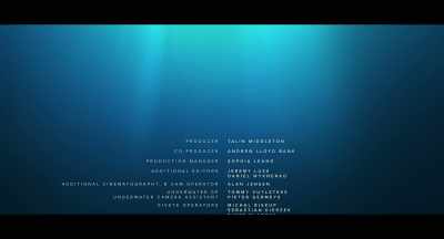 ♪ And searching - Freediver