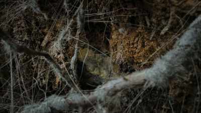 And this secret subterranean relationship
allows something even more unexpected - Super/Natural