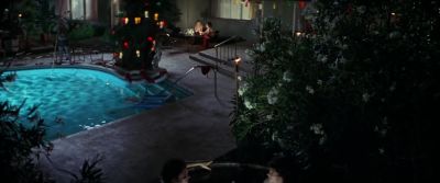 And see lots of bees - Boogie Nights