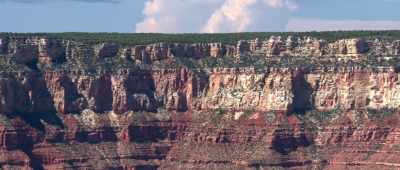 ... and we see the passage of time between the layers. - Is Genesis History?