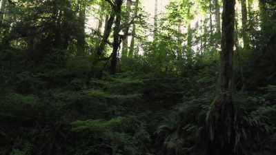   And it seems like
  that would be a warning,
  telling us, - Expedition Bigfoot