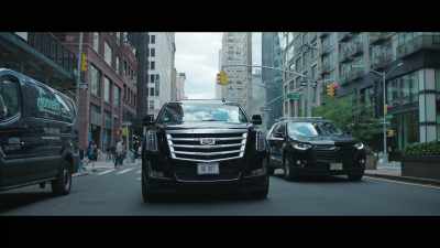 And sending you a car to New York - Bad Vegan: Fame. Fraud. Fugitives.