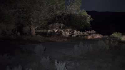 And she was just sitting
there looking at me like, - Horror in the High Desert 2: Minerva