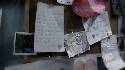 AND SHE TOOK EVERY SINGLE
THING AND RIPPED IT UP - The Lake Erie Murders