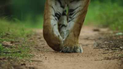 And she is trespassing
on her mother's lands, - Dynasties
