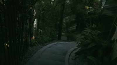 And she was walking down
the steps and she slipped, - Phoenix Rising