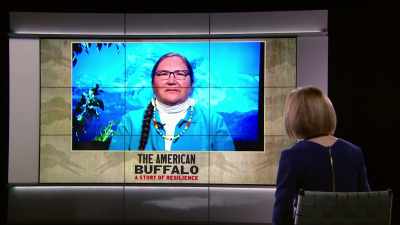 And we should add, - The American Buffalo