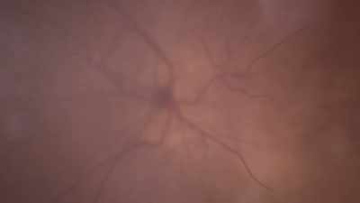And yet sight is the primary sense
we use to navigate through the world. - Human: The World Within