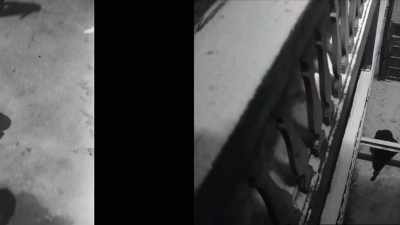 And since you mentioned Mr Arkadin recall if you can its climax - The Eyes of Orson Welles