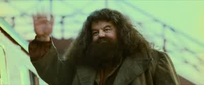 And since then, I'm afraid, I've lost my liking for them. - Harry Potter and the Philosopher's Stone