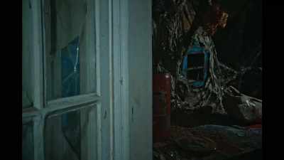 And before sleeping I make jokes
to make Pedro and Ana laugh. - The Wolf House