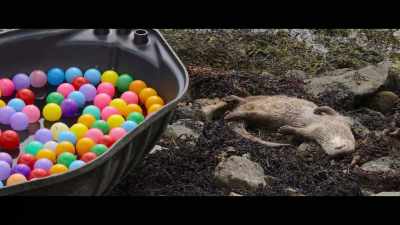 And she slept a lot. - Billy & Molly: An Otter Love Story