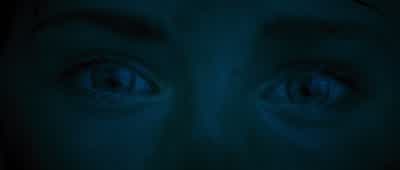 And so, as Thalia lay dying... - Percy Jackson: Sea of Monsters