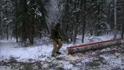 And so, I got this
ladder brought out here, - Life Below Zero: Next Generation