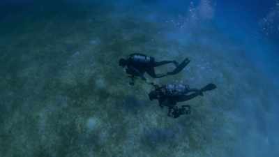 And so when I met Paul
and I started diving with him, - Photographer