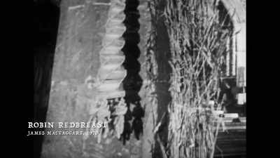And so, - Woodlands Dark and Days Bewitched: A History of Folk Horror