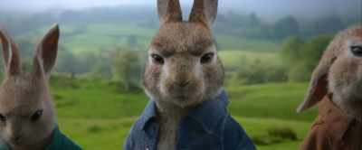 And so, - Peter Rabbit