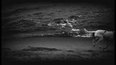 And so, she went running,
full speed, - The Story of Film: A New Generation