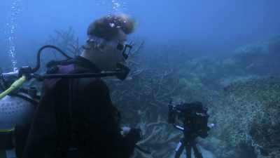 And some days, when you go back, - Chasing Coral
