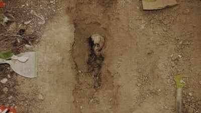 And for some, I don't know
how I was able to do it. - Two Shallow Graves