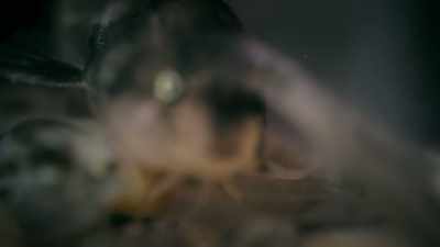 And some... - Super/Natural