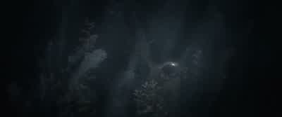 And some things that should not have been forgotten... - The Lord of the Rings: The Fellowship of the Ring