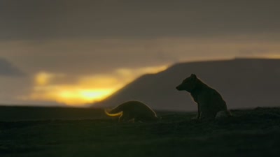 'And some
will go to extraordinary lengths - A Year on Planet Earth