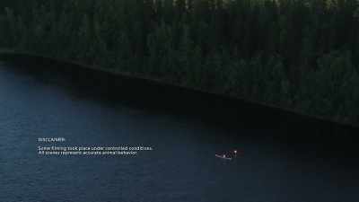 And somehow always manage
to go with the flow. - Wild Nordic