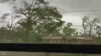 And my son was like,
"That sounds like a tornado." - Neighborhood Wars