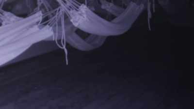 And as soon as it passes that
hammock, - The Holzer Files